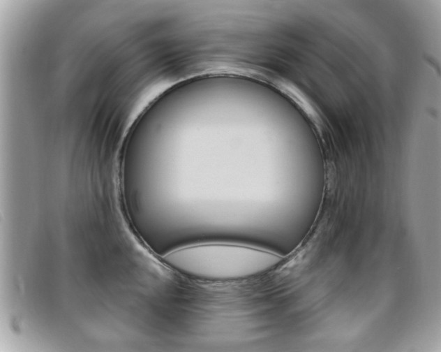 X0000095901048200801110800