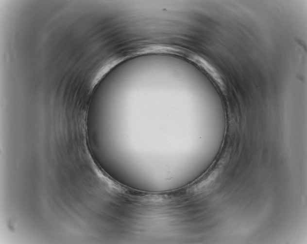 X0000095901049200801110800