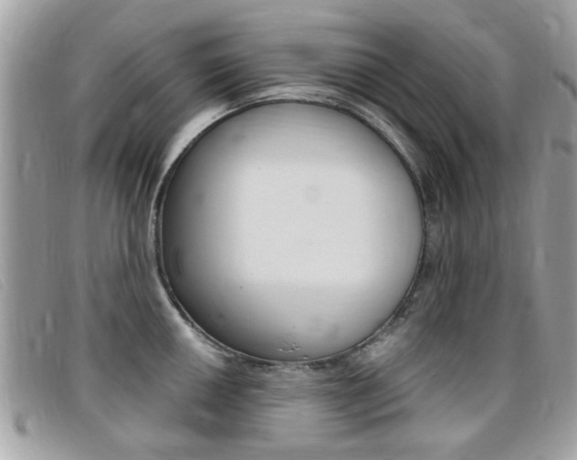 X0000095901050200801110800