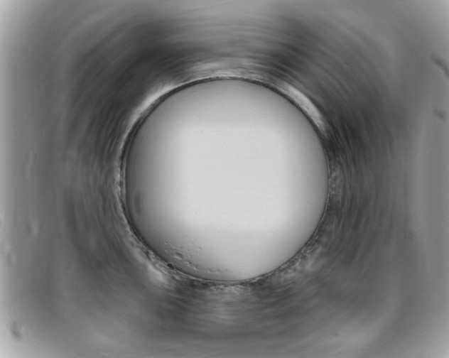 X0000095901051200801110800