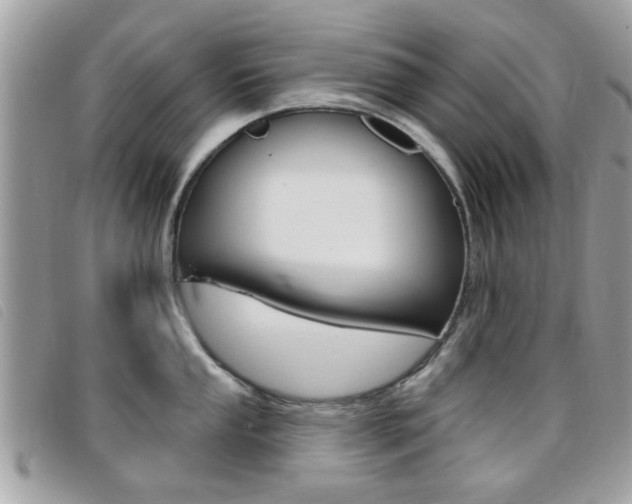 X0000095901053200801110800