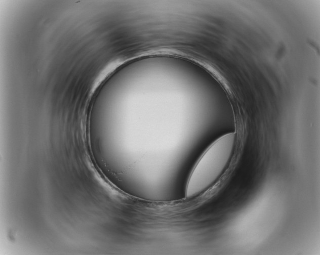X0000095901054200801110800