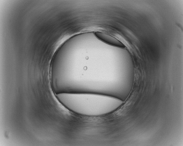 X0000095901055200801110800