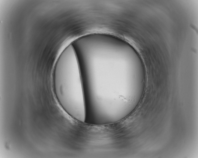 X0000095901056200801110800