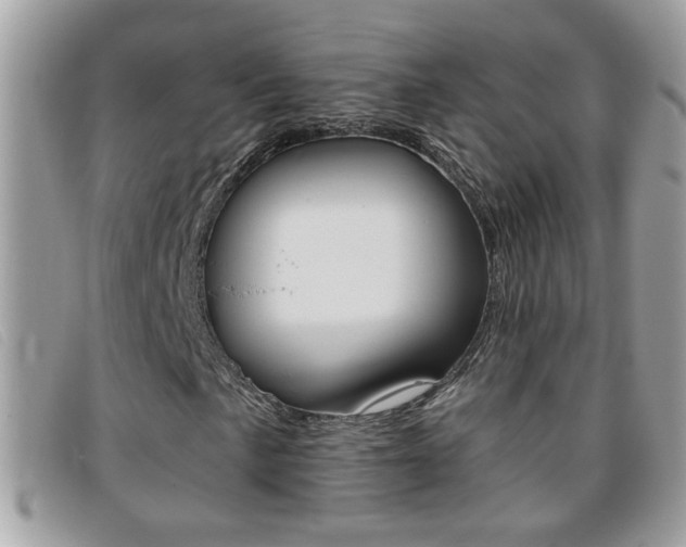 X0000095901057200801110800