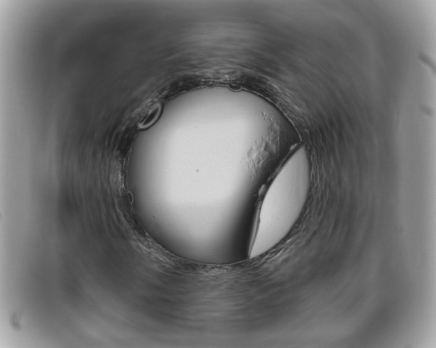 X0000095901058200801110800