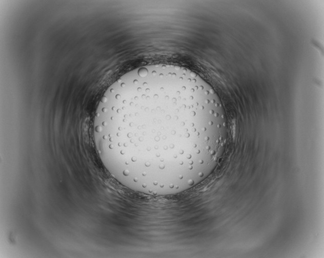 X0000095901059200801110800