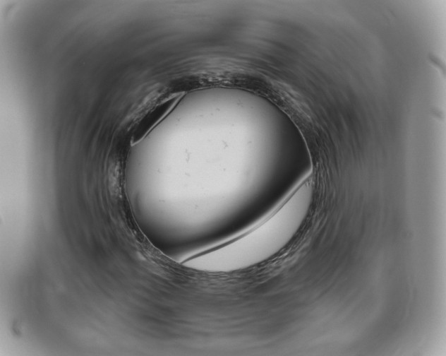 X0000095901060200801110800