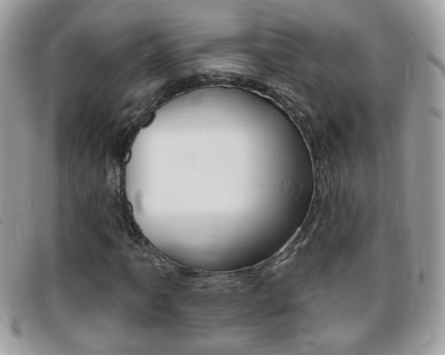 X0000095901061200801110800