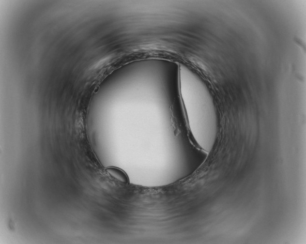 X0000095901062200801110800
