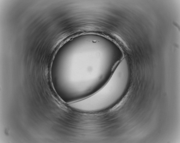 X0000095901065200801110800