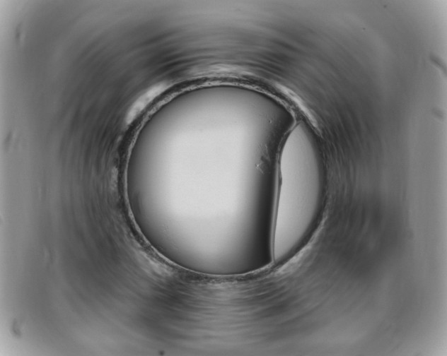 X0000095901066200801110800