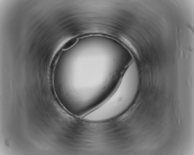 X0000095901068200801110800