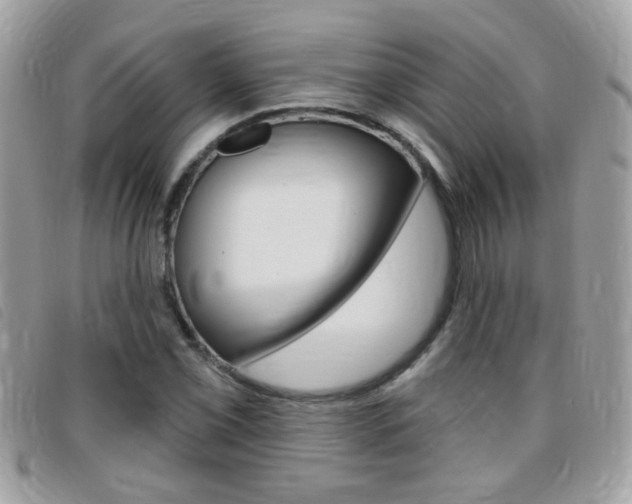 X0000095901069200801110800