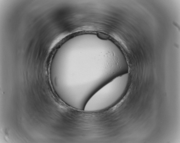 X0000095901070200801110800