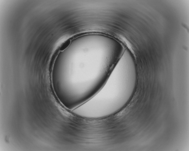 X0000095901072200801110800