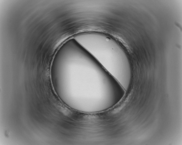 X0000095901073200801110800