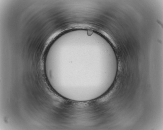 X0000095901074200801110800