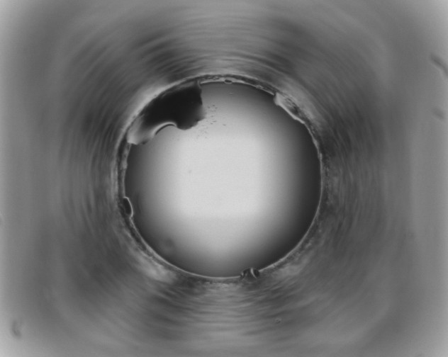 X0000095901076200801110800