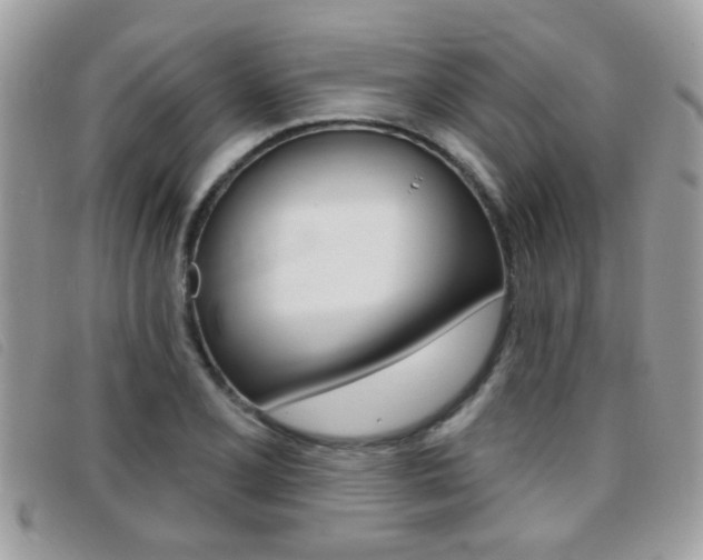 X0000095901077200801110800