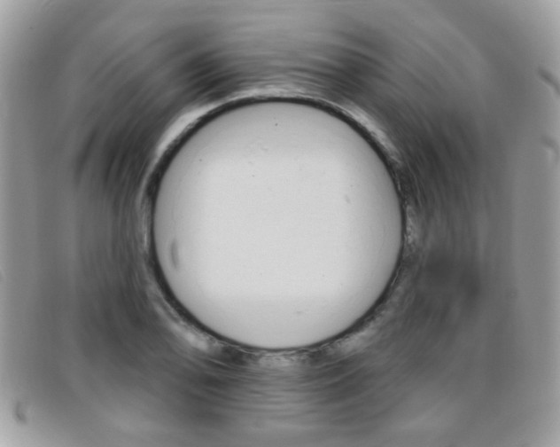X0000095901078200801110800