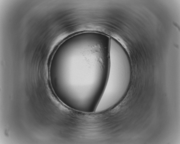 X0000095901080200801110800