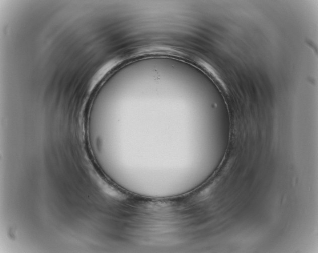 X0000095901082200801110759