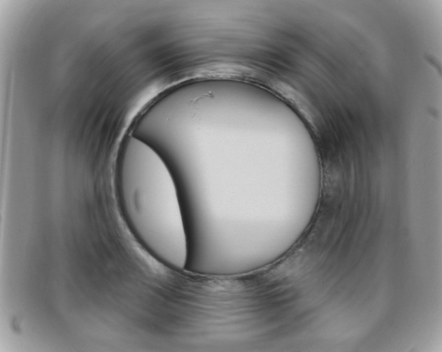 X0000095901083200801110759