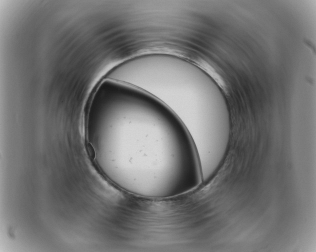 X0000095901084200801110759