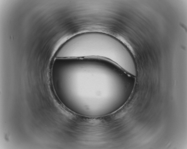 X0000095901085200801110759