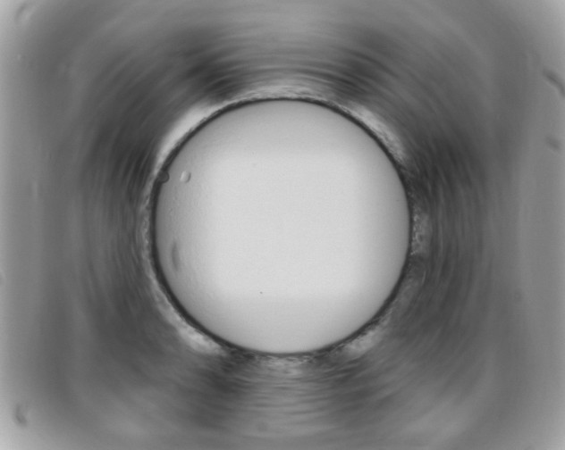 X0000095901086200801110759