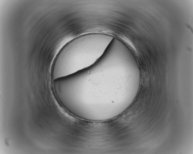 X0000095901087200801110759
