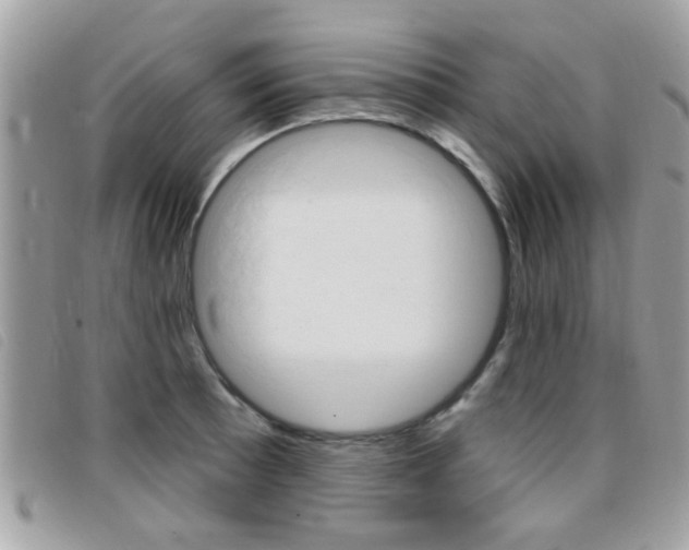 X0000095901089200801110759