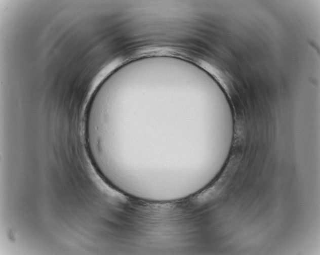 X0000095901090200801110759