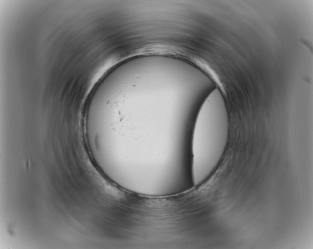X0000095901091200801110759
