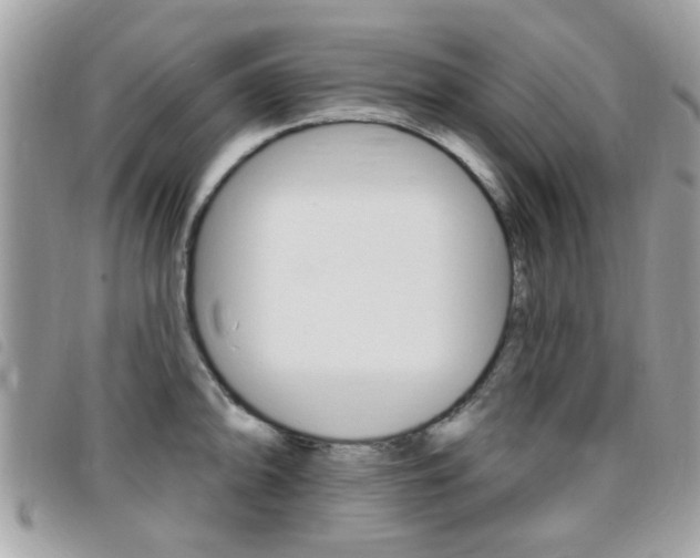 X0000095901094200801110759