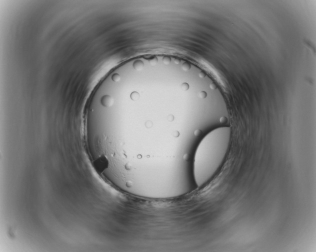 X0000095901095200801110759