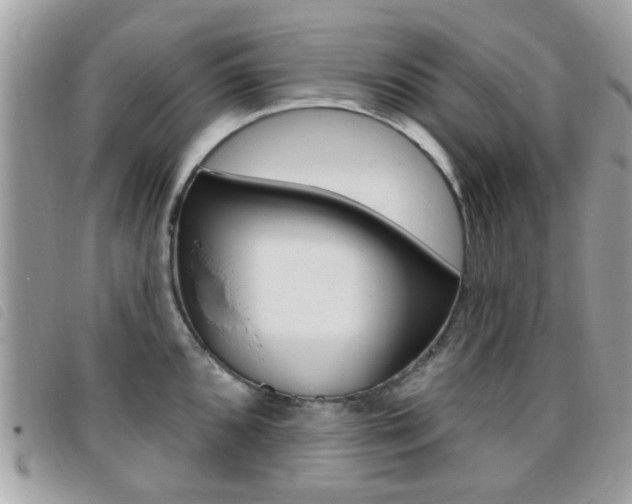 X0000095901096200801110759