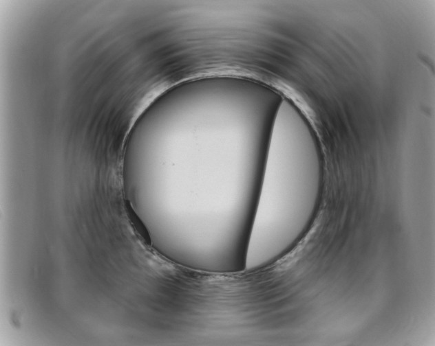 X0000095901097200801110759
