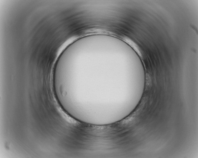 X0000095901098200801110759