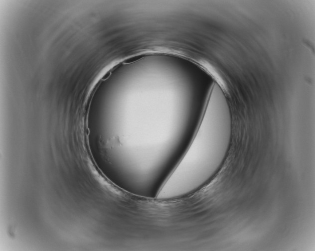 X0000095901100200801110759