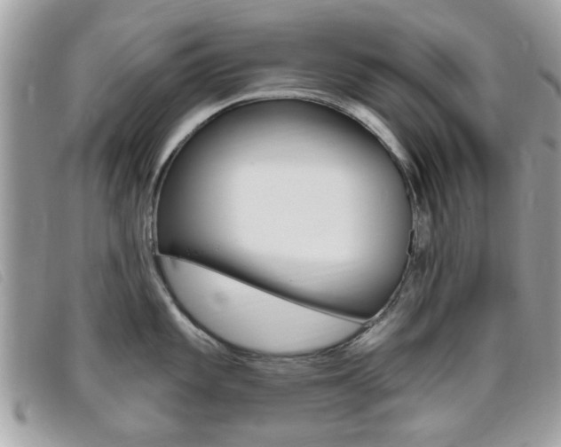 X0000095901101200801110759