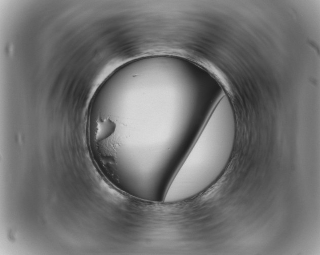 X0000095901102200801110759
