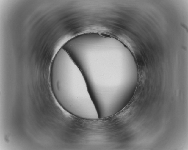 X0000095901103200801110759