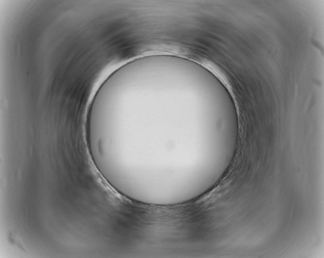 X0000095901104200801110759