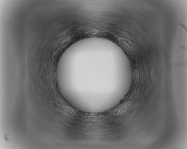 X0000095901105200801110759