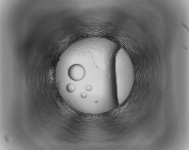 X0000095901106200801110759