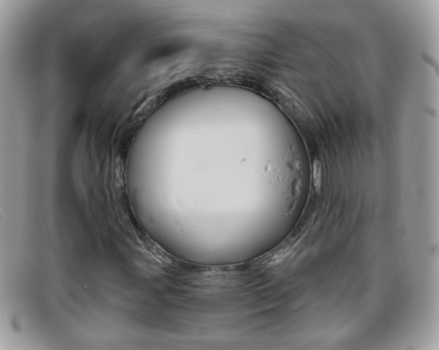 X0000095901107200801110759