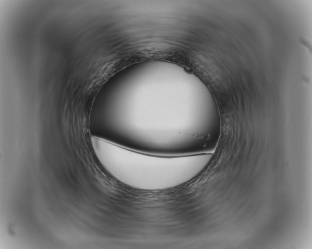 X0000095901108200801110759
