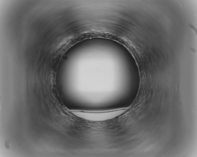 X0000095901110200801110759